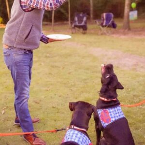 Mutts and Mead event-120