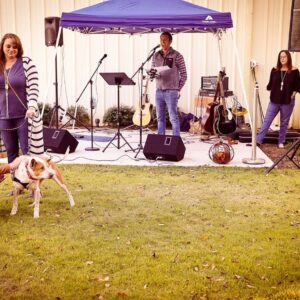 Mutts and Mead event-37