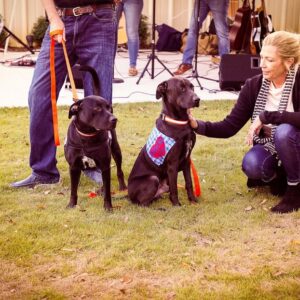 Mutts and Mead event-76