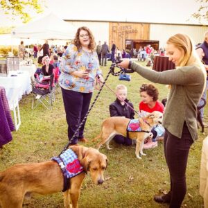 Mutts and Mead event-8